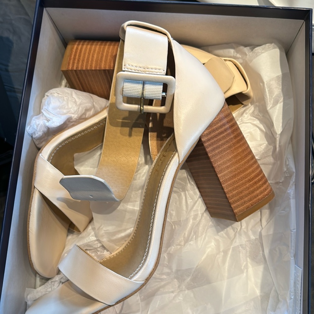 Splendid brand new shoes